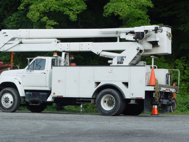 Your Tree Company Added a Truck, Crew, or Chipper. Did Your Insurance Keep Up?
